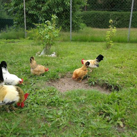 ヴンストルフArdea Albaアパートメント エクステリア 写真